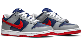 Nike Dunk Low Retro 'Samba' 2020