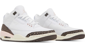 Air Jordan 3 Retro 'Neapolitan'